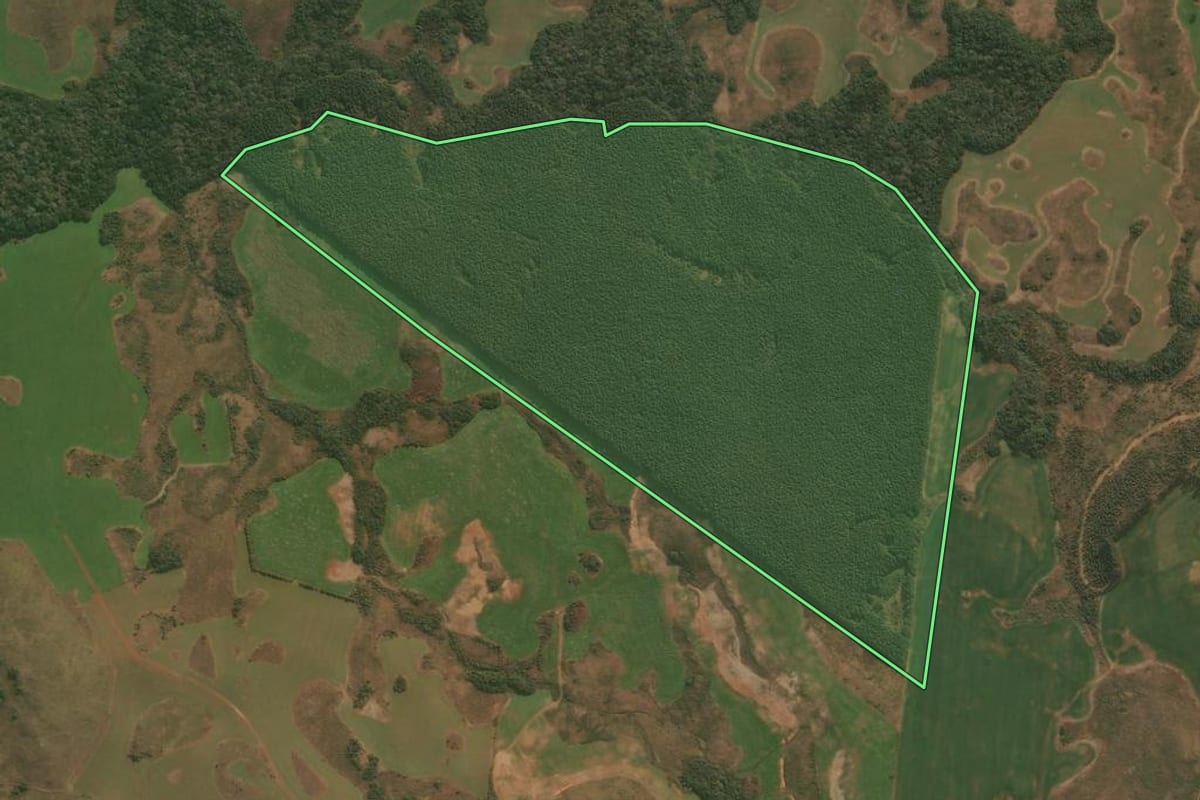 Imagem de satélite do imóvel rural em Esmeralda (RS), com o contorno declarado no CAR desenhado por cima.