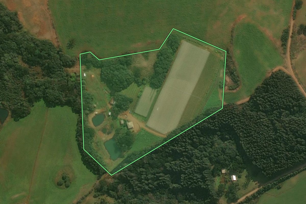 Imagem de satélite do imóvel rural em Esmeralda (RS), com o contorno declarado no CAR desenhado por cima.