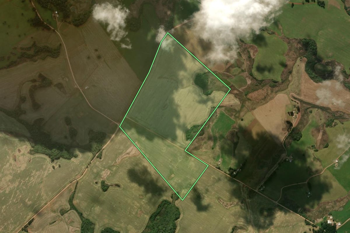 Imagem de satélite do imóvel rural em Esmeralda (RS), com o contorno declarado no CAR desenhado por cima.