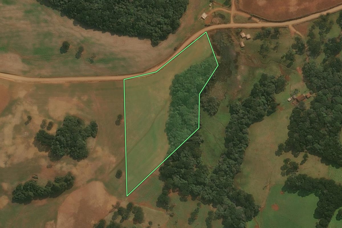 Imagem de satélite do imóvel rural em Esmeralda (RS), com o contorno declarado no CAR desenhado por cima.