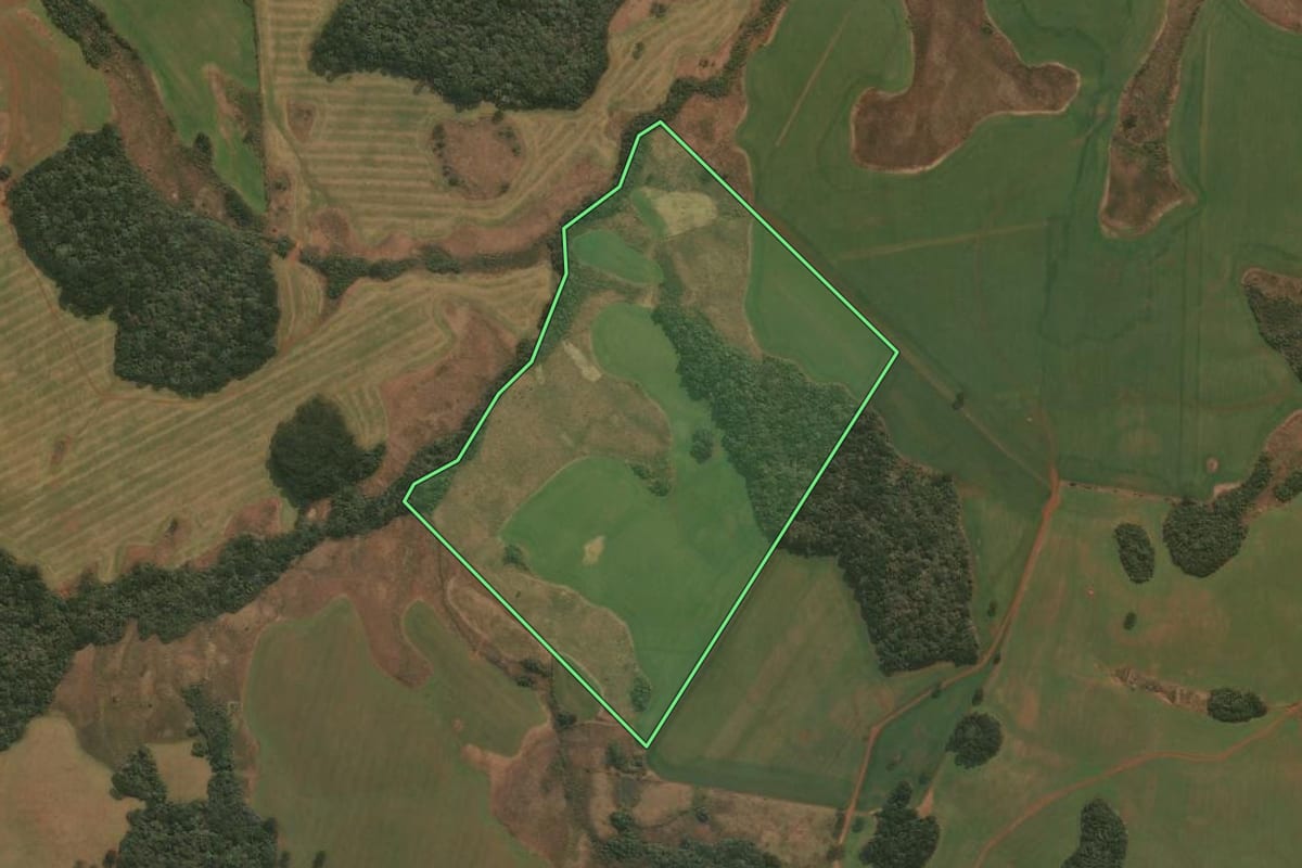 Imagem de satélite do imóvel rural em Esmeralda (RS), com o contorno declarado no CAR desenhado por cima.