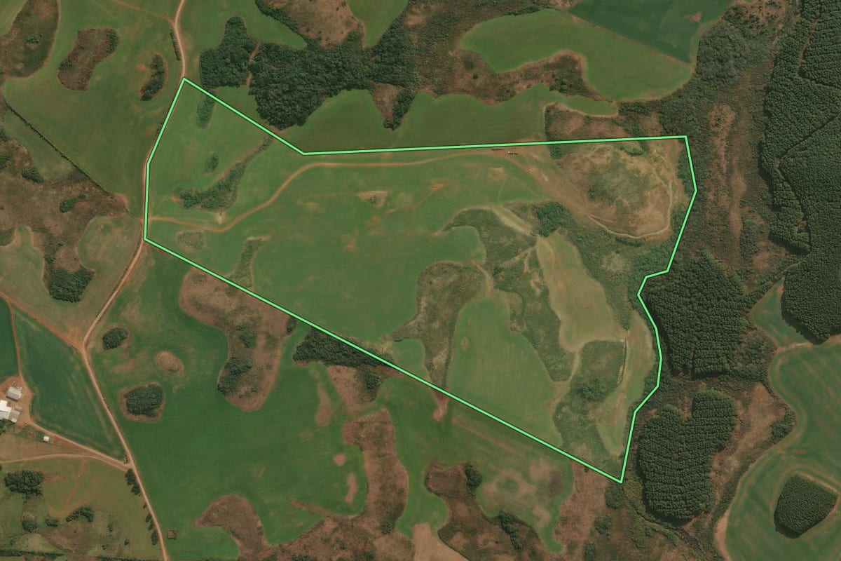 Imagem de satélite do imóvel rural em Esmeralda (RS), com o contorno declarado no CAR desenhado por cima.