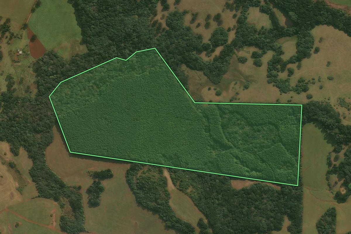 Imagem de satélite do imóvel rural em Esmeralda (RS), com o contorno declarado no CAR desenhado por cima.
