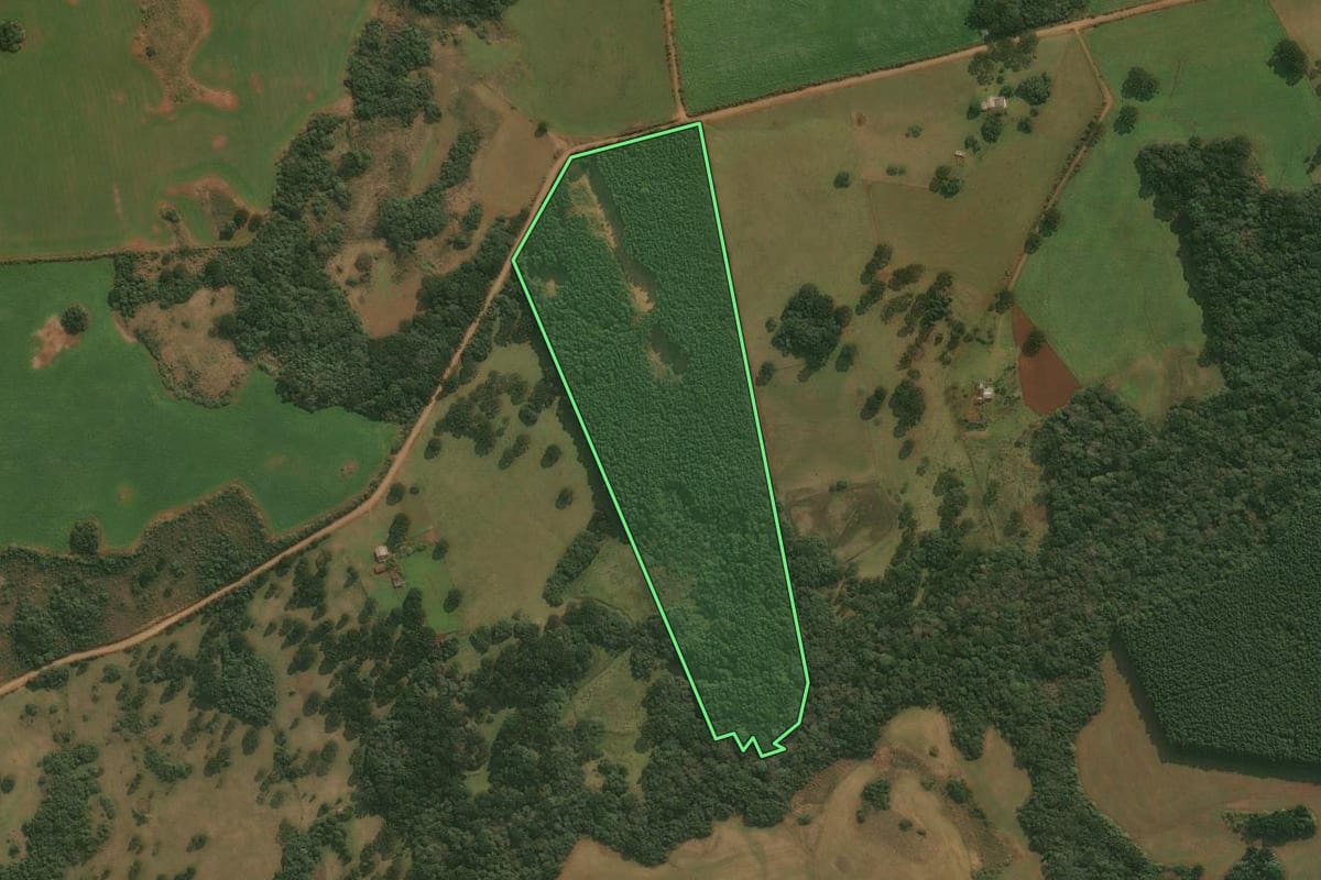 Imagem de satélite do imóvel rural em Esmeralda (RS), com o contorno declarado no CAR desenhado por cima.