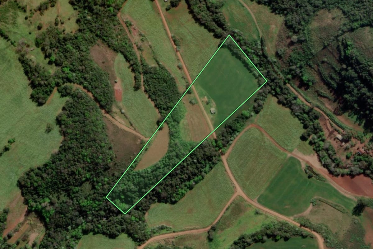 Imagem de satélite do imóvel rural em Esperança do Sul (RS), com o contorno declarado no CAR desenhado por cima.
