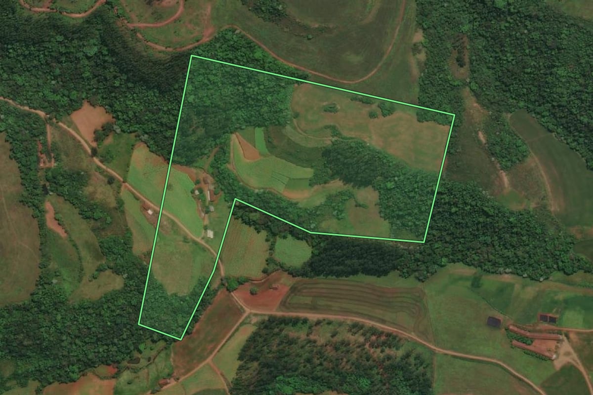 Imagem de satélite do imóvel rural em Esperança do Sul (RS), com o contorno declarado no CAR desenhado por cima.
