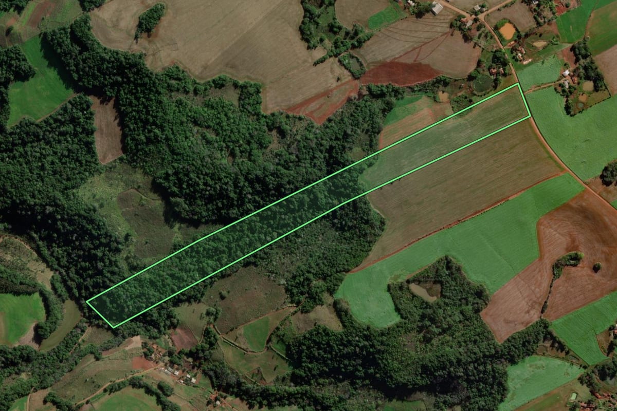 Imagem de satélite do imóvel rural em Esperança do Sul (RS), com o contorno declarado no CAR desenhado por cima.