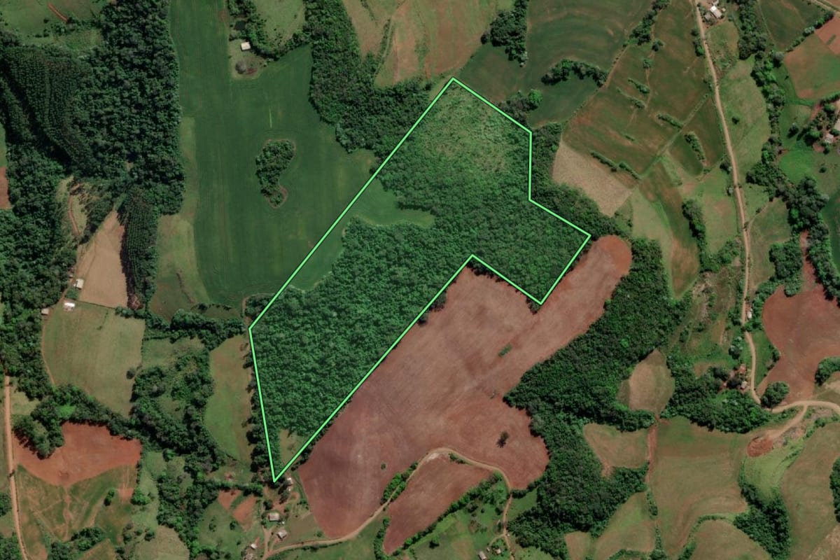 Imagem de satélite do imóvel rural em Esperança do Sul (RS), com o contorno declarado no CAR desenhado por cima.