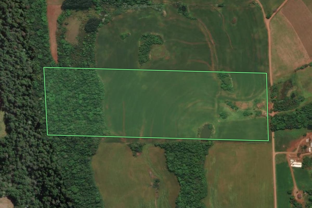 Imagem de satélite do imóvel rural em Esperança do Sul (RS), com o contorno declarado no CAR desenhado por cima.
