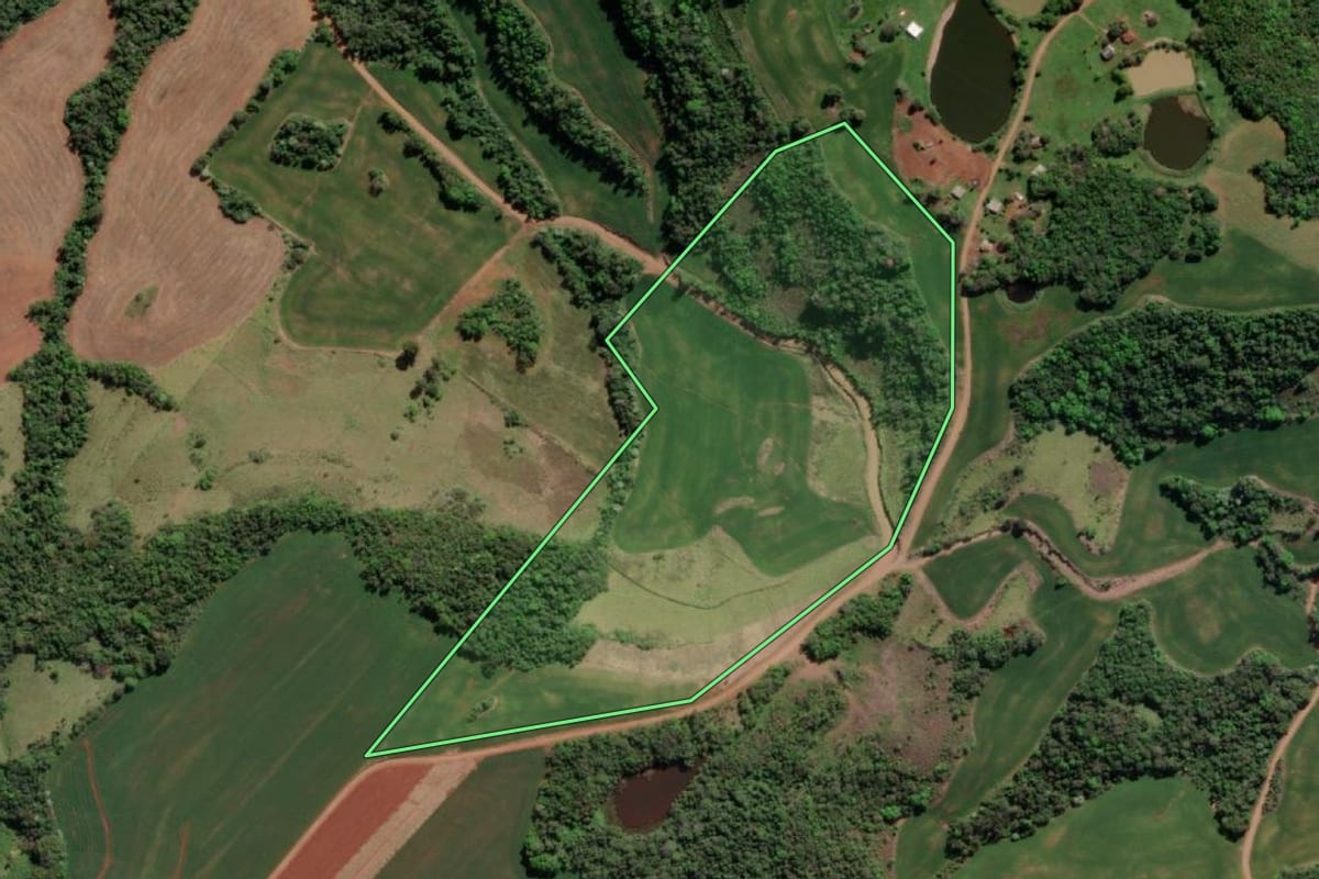 Imagem de satélite do imóvel rural em Esperança do Sul (RS), com o contorno declarado no CAR desenhado por cima.