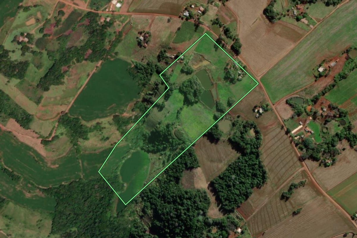 Imagem de satélite do imóvel rural em Esperança do Sul (RS), com o contorno declarado no CAR desenhado por cima.