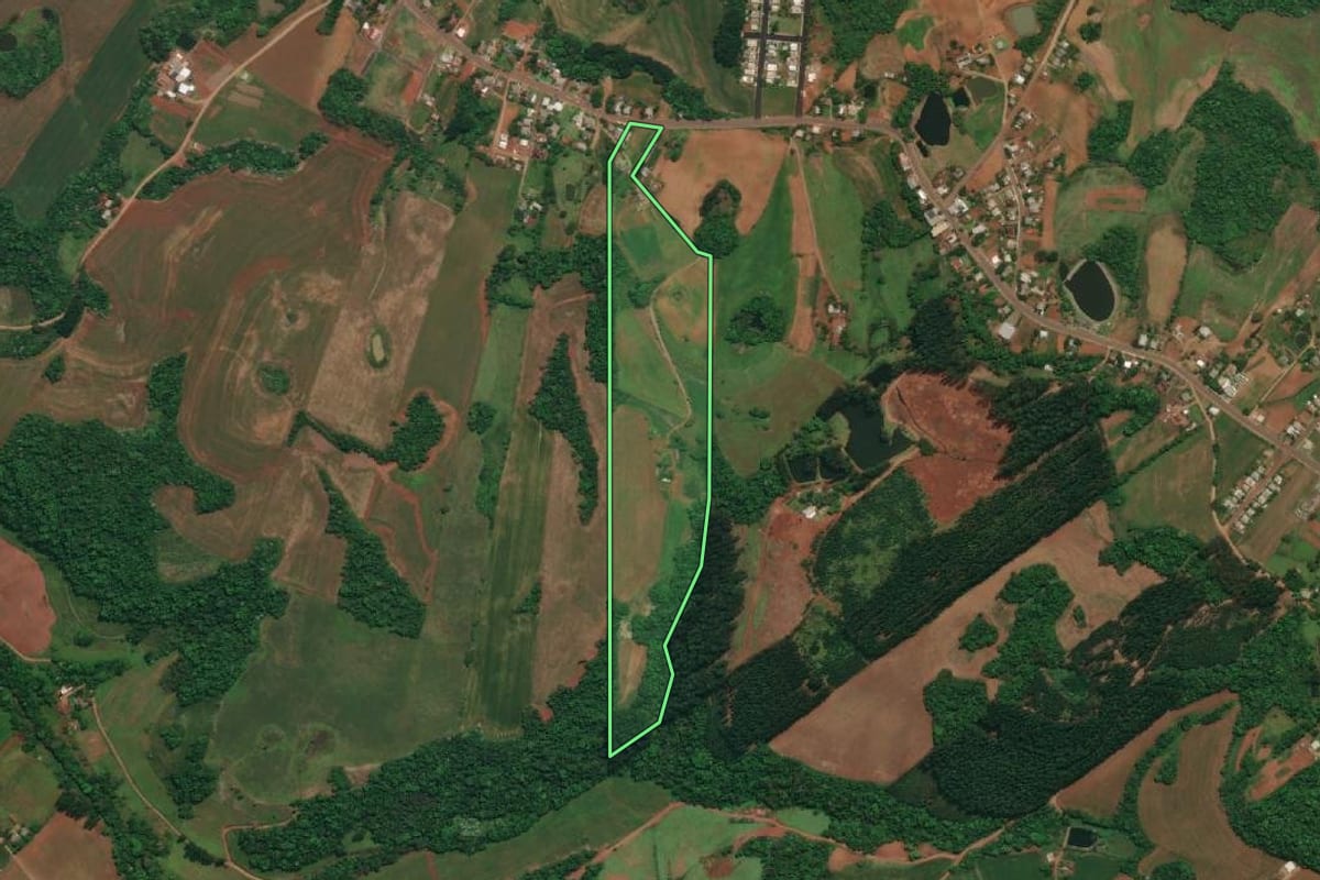 Imagem de satélite do imóvel rural em Esperança do Sul (RS), com o contorno declarado no CAR desenhado por cima.