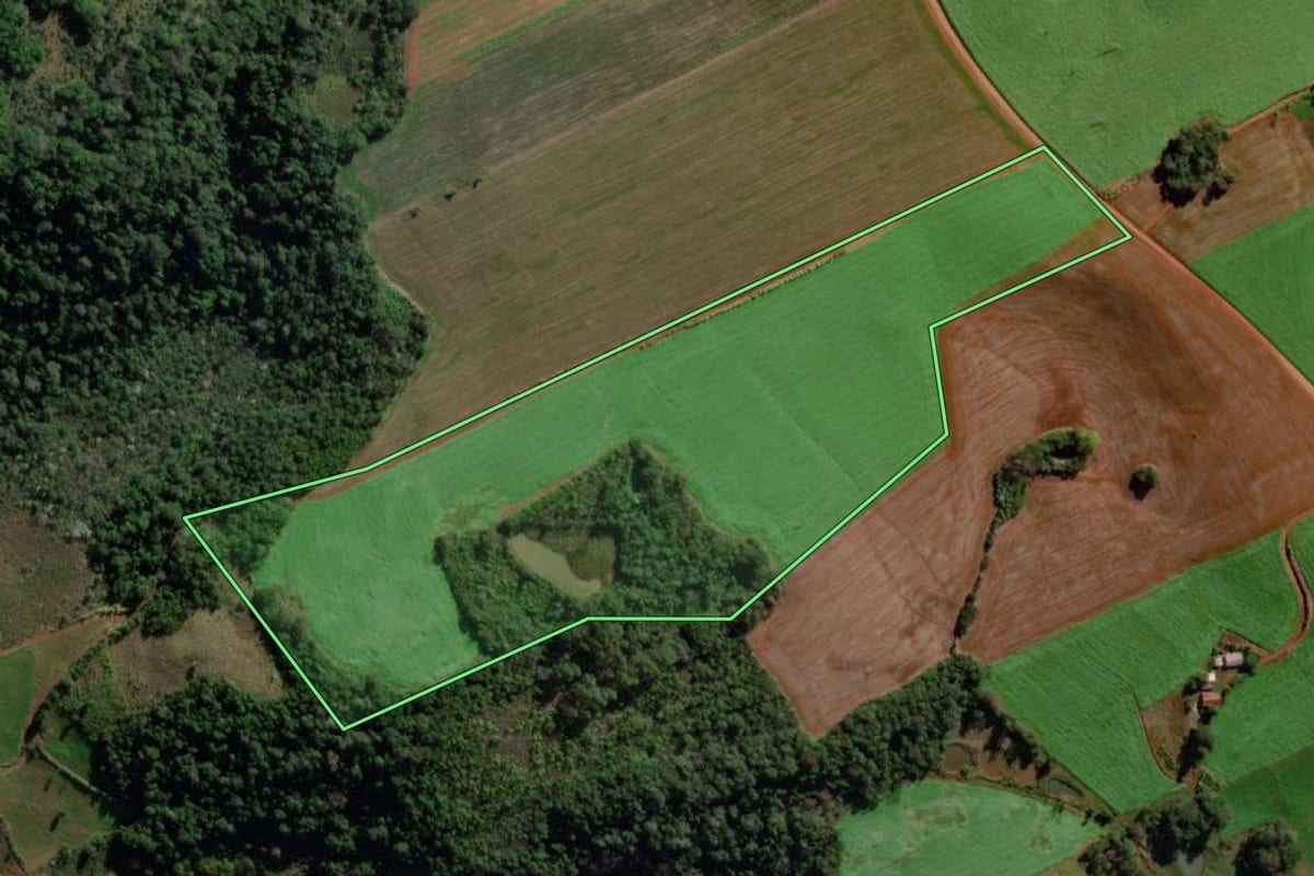 Imagem de satélite do imóvel rural em Esperança do Sul (RS), com o contorno declarado no CAR desenhado por cima.