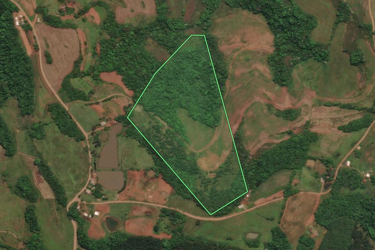Imagem de satélite do imóvel rural em Esperança do Sul (RS), com o contorno declarado no CAR desenhado por cima.