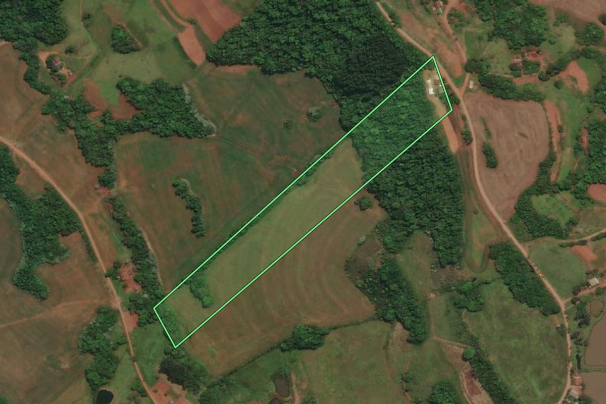Imagem de satélite do imóvel rural em Esperança do Sul (RS), com o contorno declarado no CAR desenhado por cima.