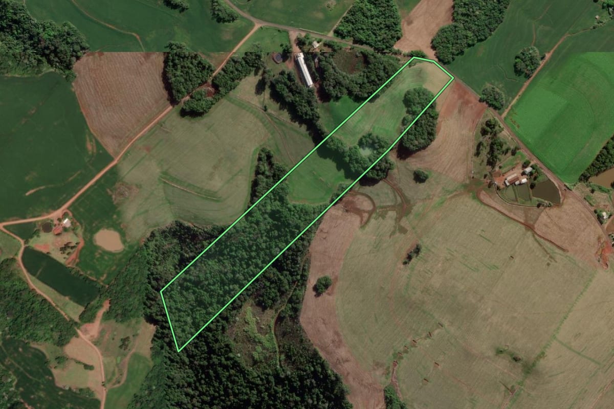 Imagem de satélite do imóvel rural em Esperança do Sul (RS), com o contorno declarado no CAR desenhado por cima.