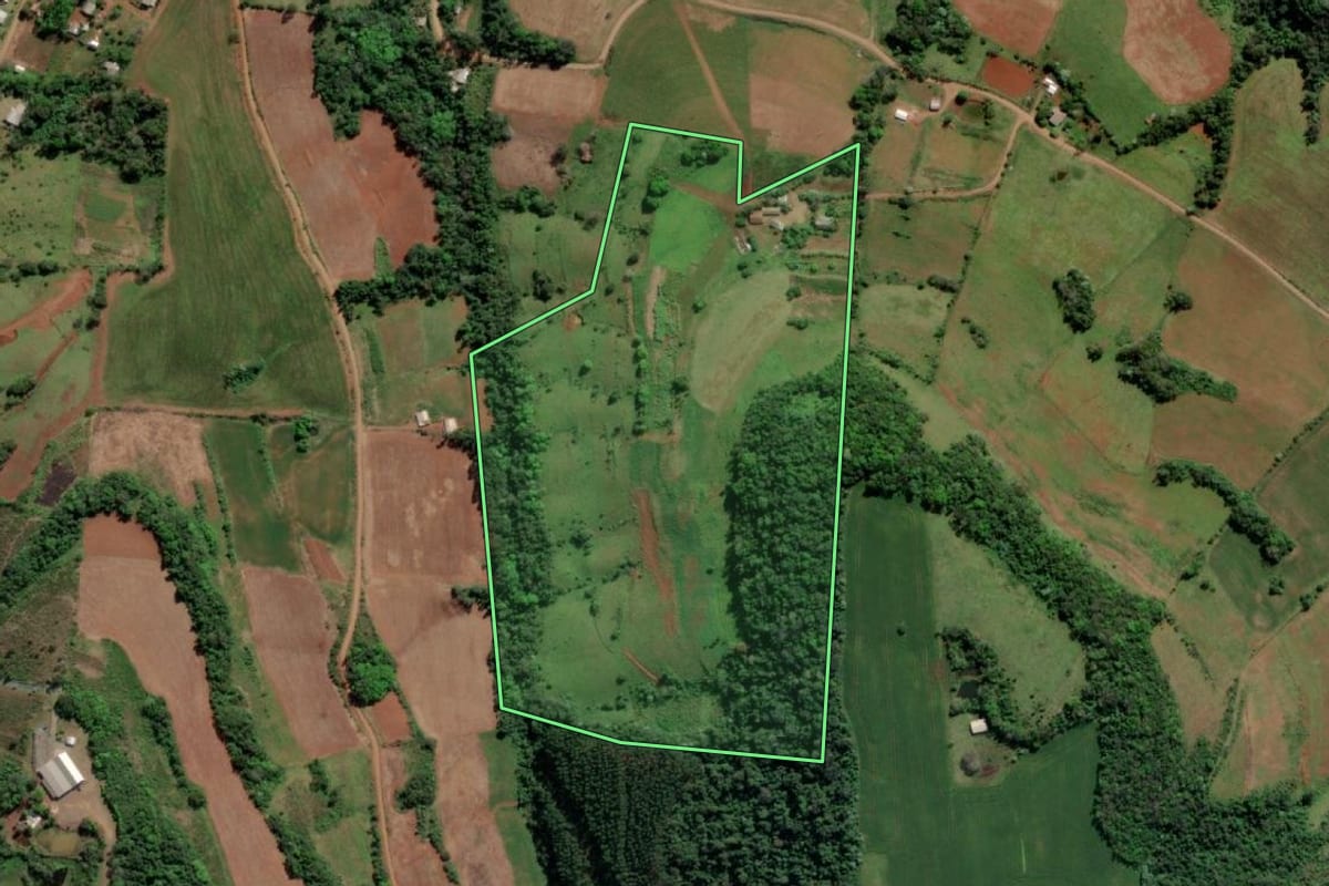 Imagem de satélite do imóvel rural em Esperança do Sul (RS), com o contorno declarado no CAR desenhado por cima.