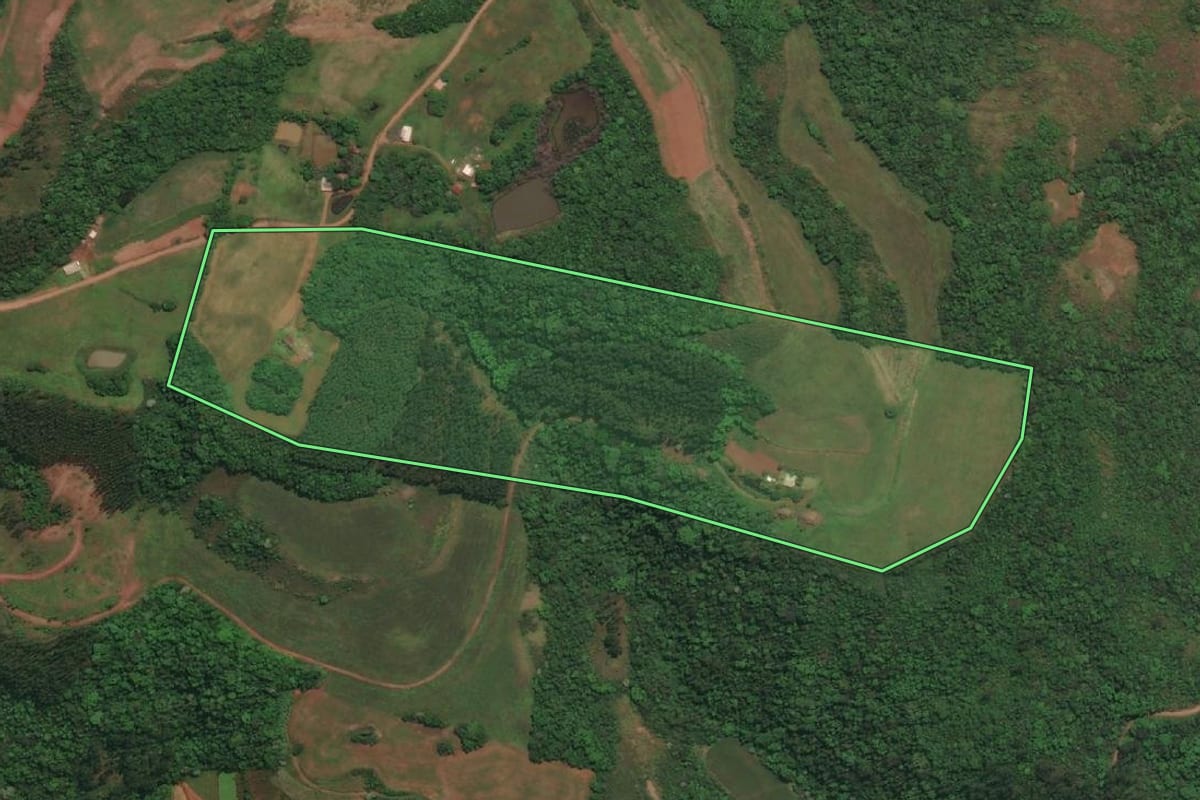 Imagem de satélite do imóvel rural em Esperança do Sul (RS), com o contorno declarado no CAR desenhado por cima.