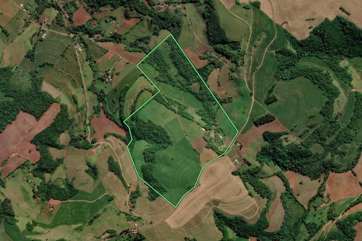 Imagem de satélite do imóvel rural em Esperança do Sul (RS), com o contorno declarado no CAR desenhado por cima.