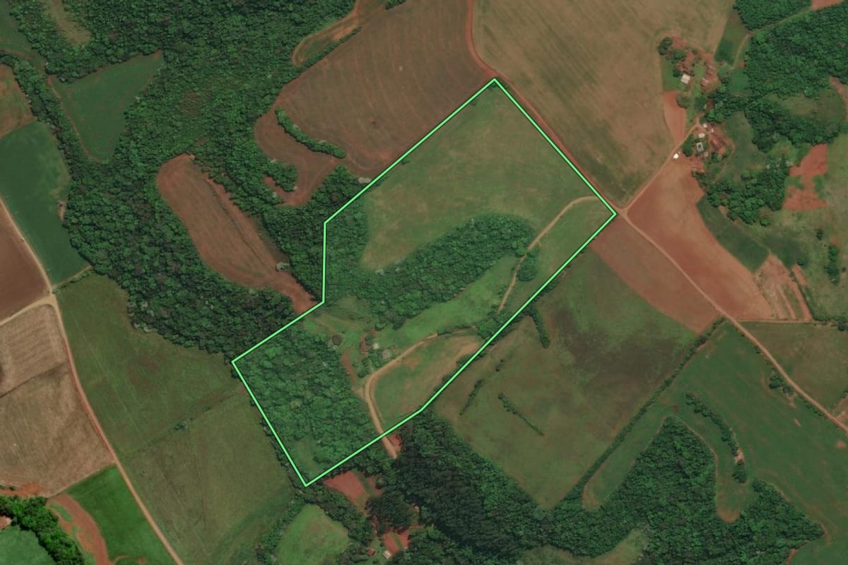 Imagem de satélite do imóvel rural em Esperança do Sul (RS), com o contorno declarado no CAR desenhado por cima.