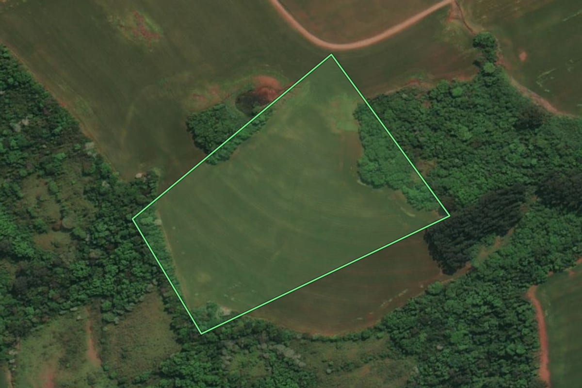 Imagem de satélite do imóvel rural em Esperança do Sul (RS), com o contorno declarado no CAR desenhado por cima.