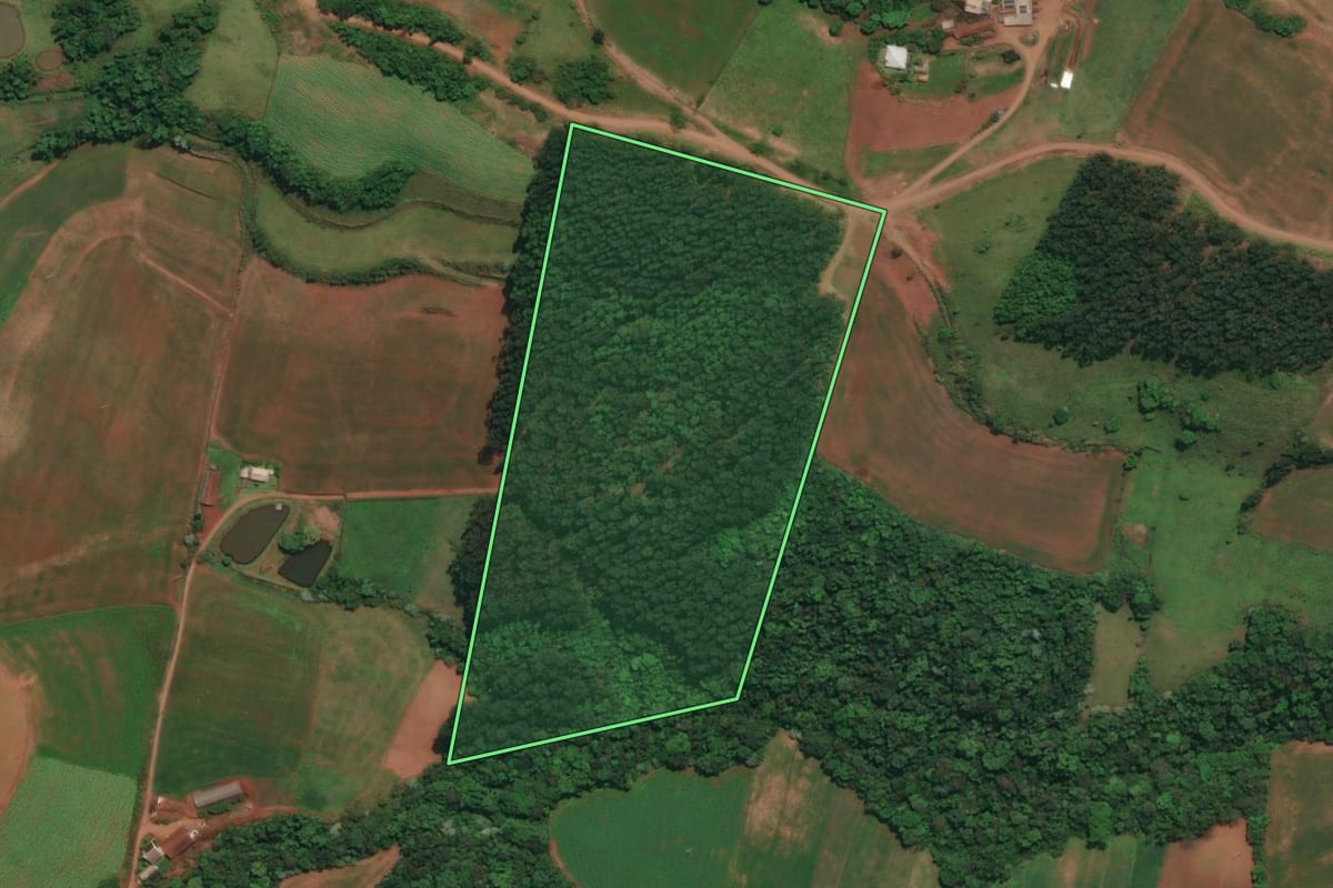 Imagem de satélite do imóvel rural em Esperança do Sul (RS), com o contorno declarado no CAR desenhado por cima.