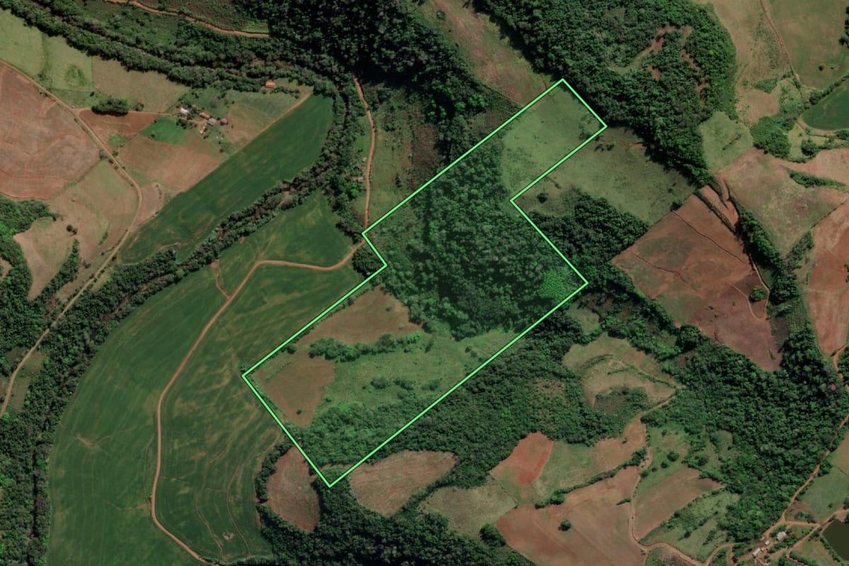 Imagem de satélite do imóvel rural em Esperança do Sul (RS), com o contorno declarado no CAR desenhado por cima.