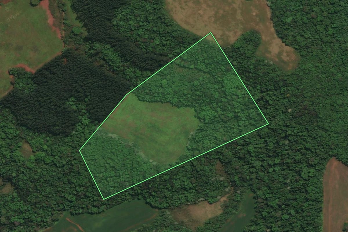 Imagem de satélite do imóvel rural em Esperança do Sul (RS), com o contorno declarado no CAR desenhado por cima.
