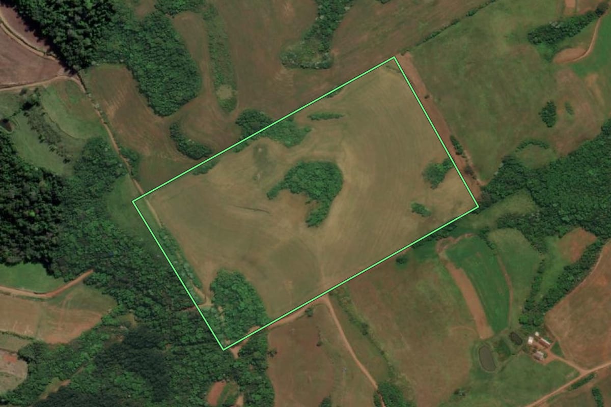 Imagem de satélite do imóvel rural em Esperança do Sul (RS), com o contorno declarado no CAR desenhado por cima.