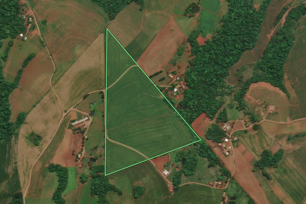 Imagem de satélite do imóvel rural em Esperança do Sul (RS), com o contorno declarado no CAR desenhado por cima.