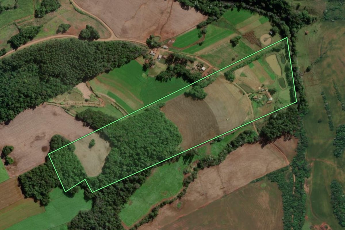 Imagem de satélite do imóvel rural em Esperança do Sul (RS), com o contorno declarado no CAR desenhado por cima.