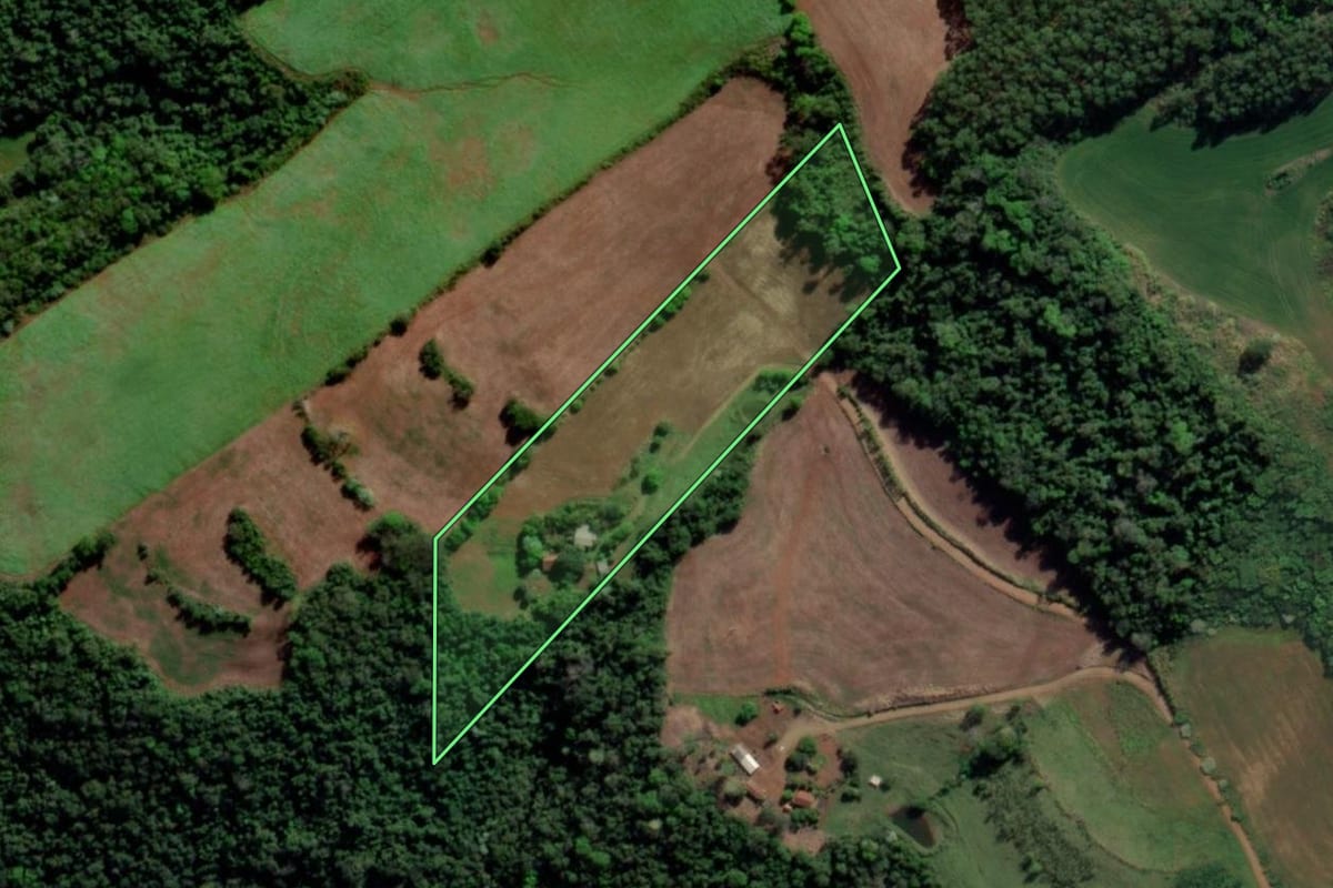 Imagem de satélite do imóvel rural em Esperança do Sul (RS), com o contorno declarado no CAR desenhado por cima.