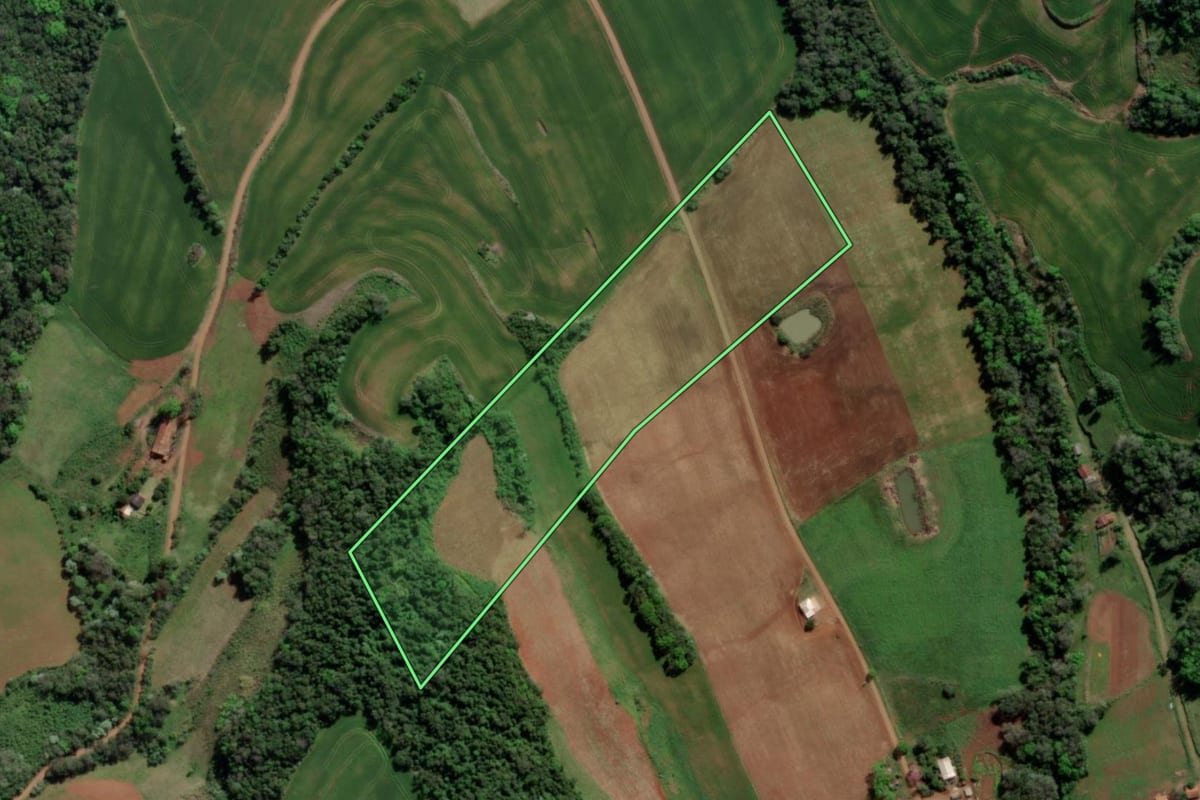 Imagem de satélite do imóvel rural em Esperança do Sul (RS), com o contorno declarado no CAR desenhado por cima.