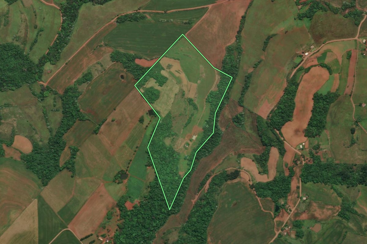 Imagem de satélite do imóvel rural em Esperança do Sul (RS), com o contorno declarado no CAR desenhado por cima.