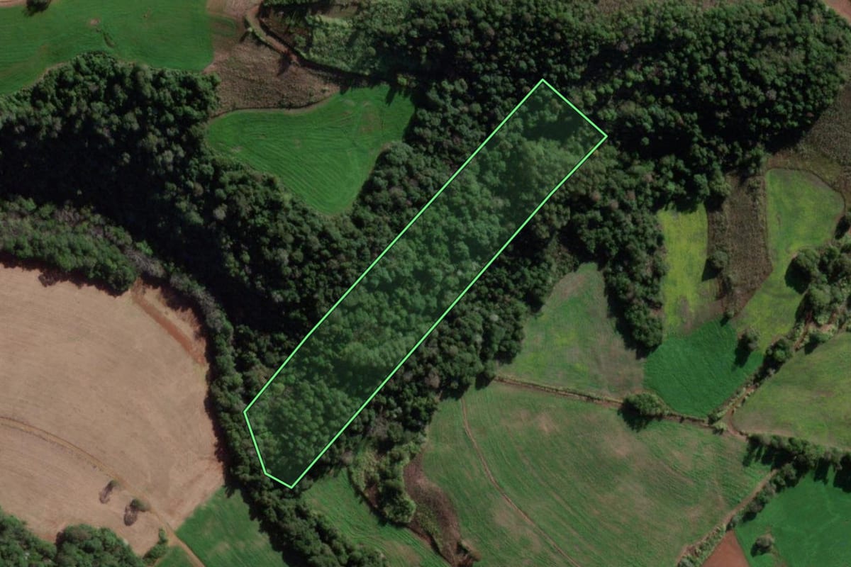 Imagem de satélite do imóvel rural em Esperança do Sul (RS), com o contorno declarado no CAR desenhado por cima.
