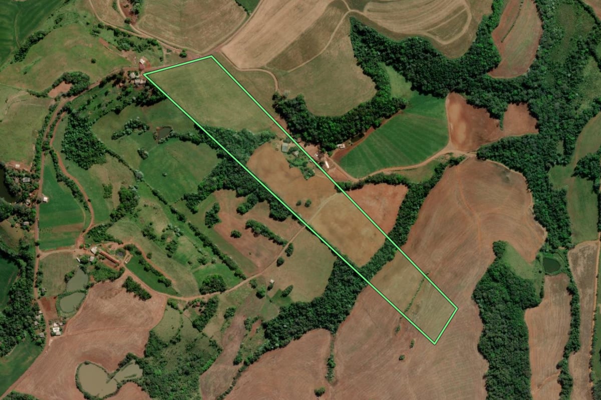 Imagem de satélite do imóvel rural em Esperança do Sul (RS), com o contorno declarado no CAR desenhado por cima.