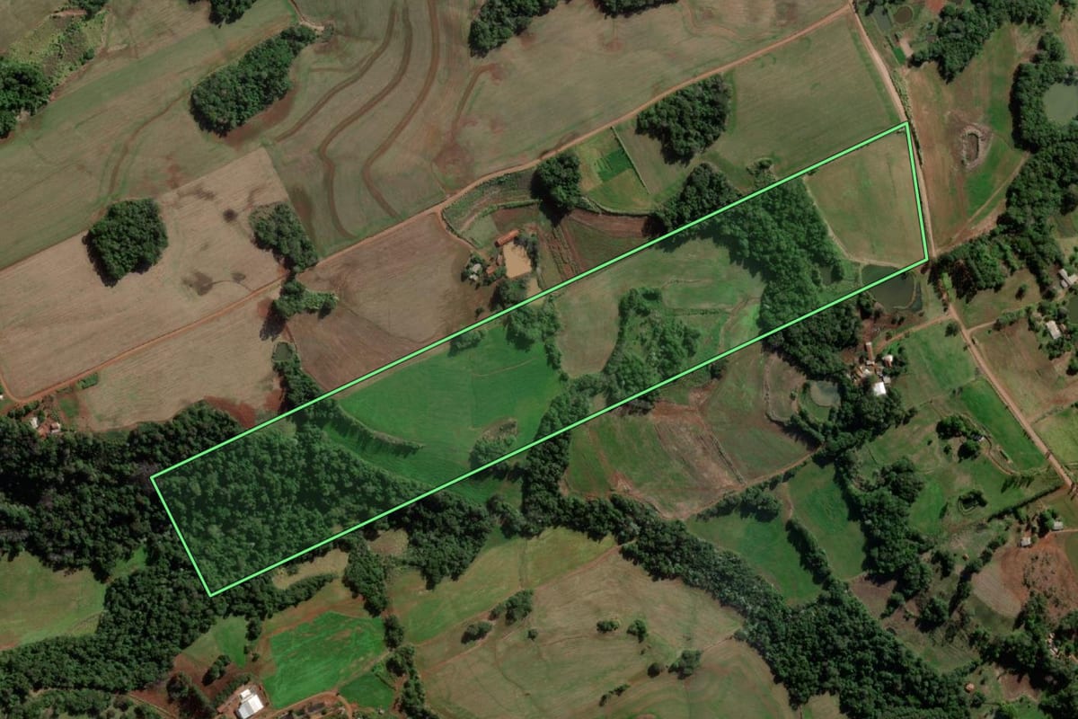 Imagem de satélite do imóvel rural em Esperança do Sul (RS), com o contorno declarado no CAR desenhado por cima.