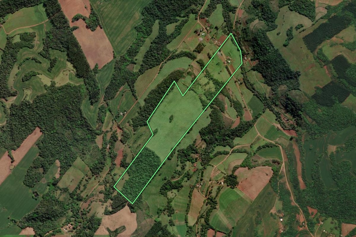 Imagem de satélite do imóvel rural em Esperança do Sul (RS), com o contorno declarado no CAR desenhado por cima.