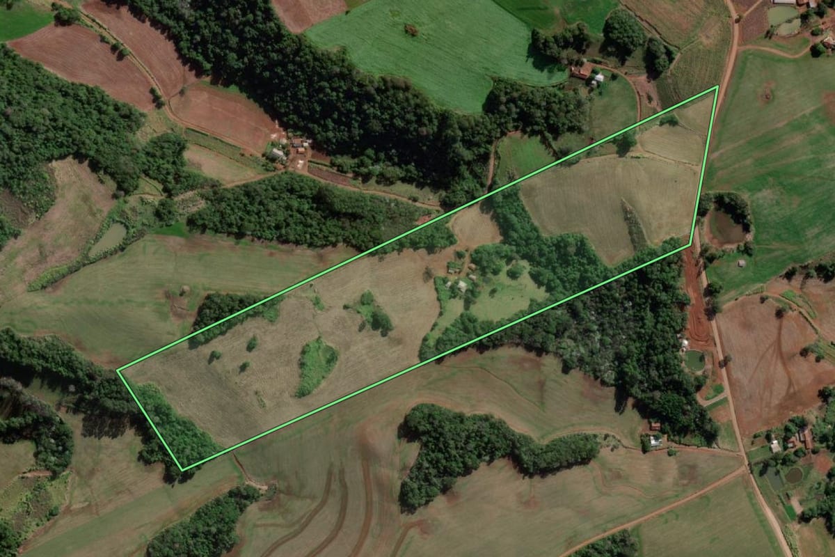 Imagem de satélite do imóvel rural em Esperança do Sul (RS), com o contorno declarado no CAR desenhado por cima.