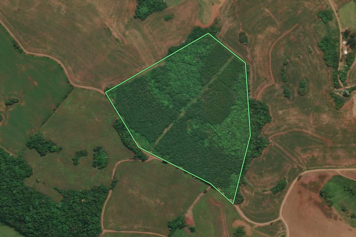 Imagem de satélite do imóvel rural em Esperança do Sul (RS), com o contorno declarado no CAR desenhado por cima.