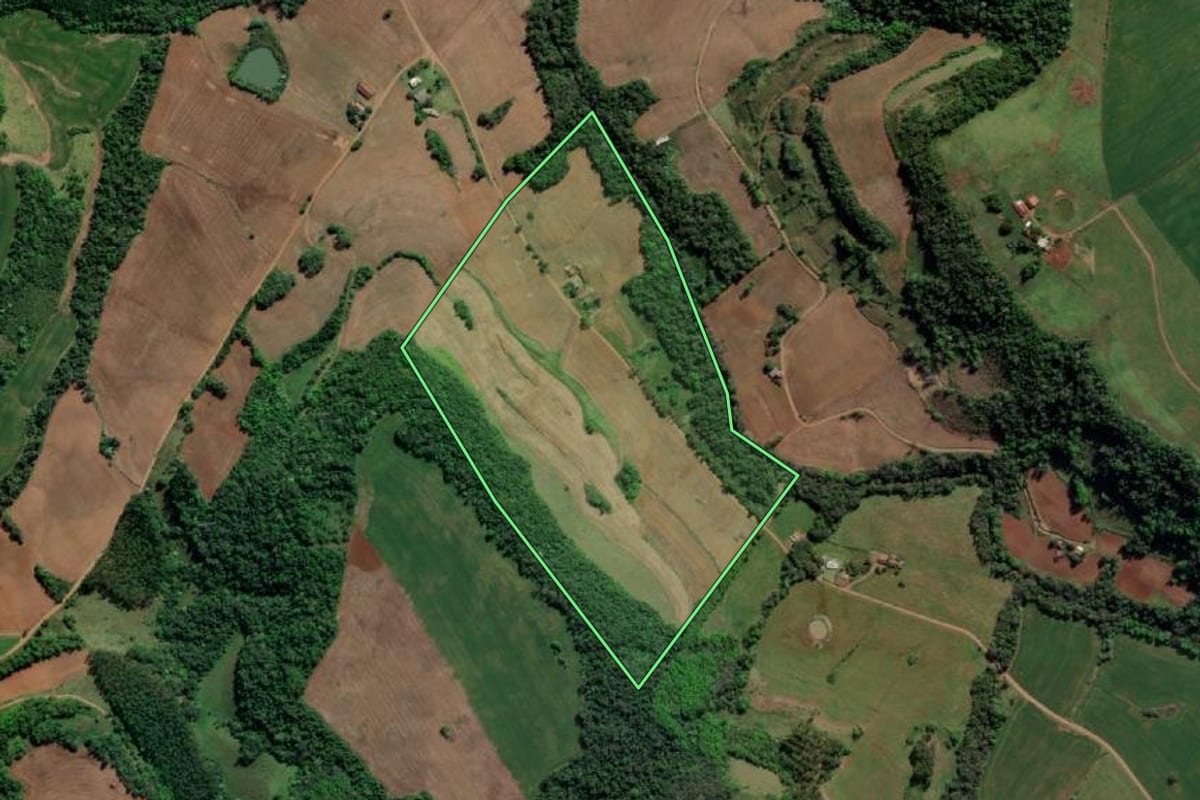 Imagem de satélite do imóvel rural em Esperança do Sul (RS), com o contorno declarado no CAR desenhado por cima.