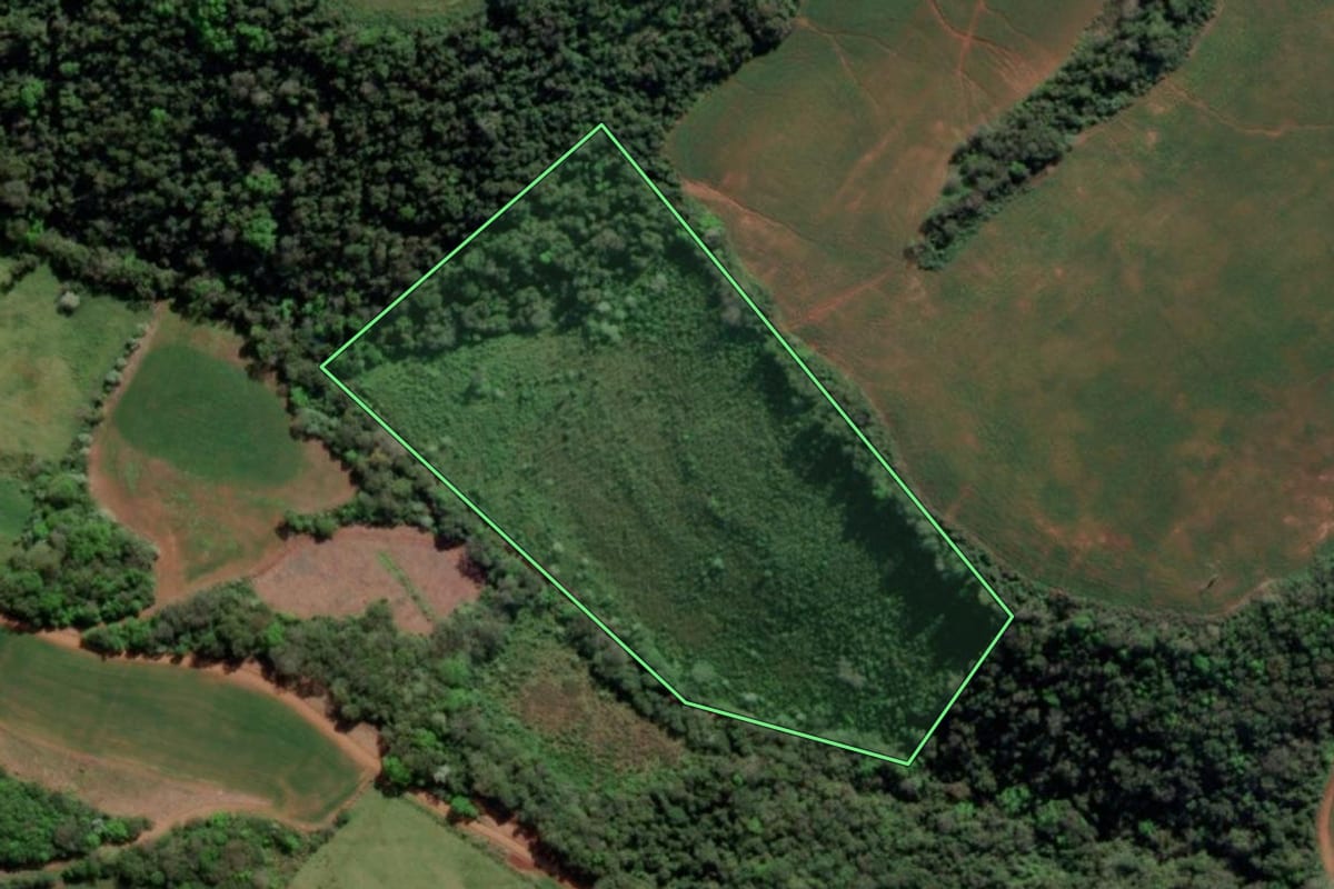 Imagem de satélite do imóvel rural em Esperança do Sul (RS), com o contorno declarado no CAR desenhado por cima.