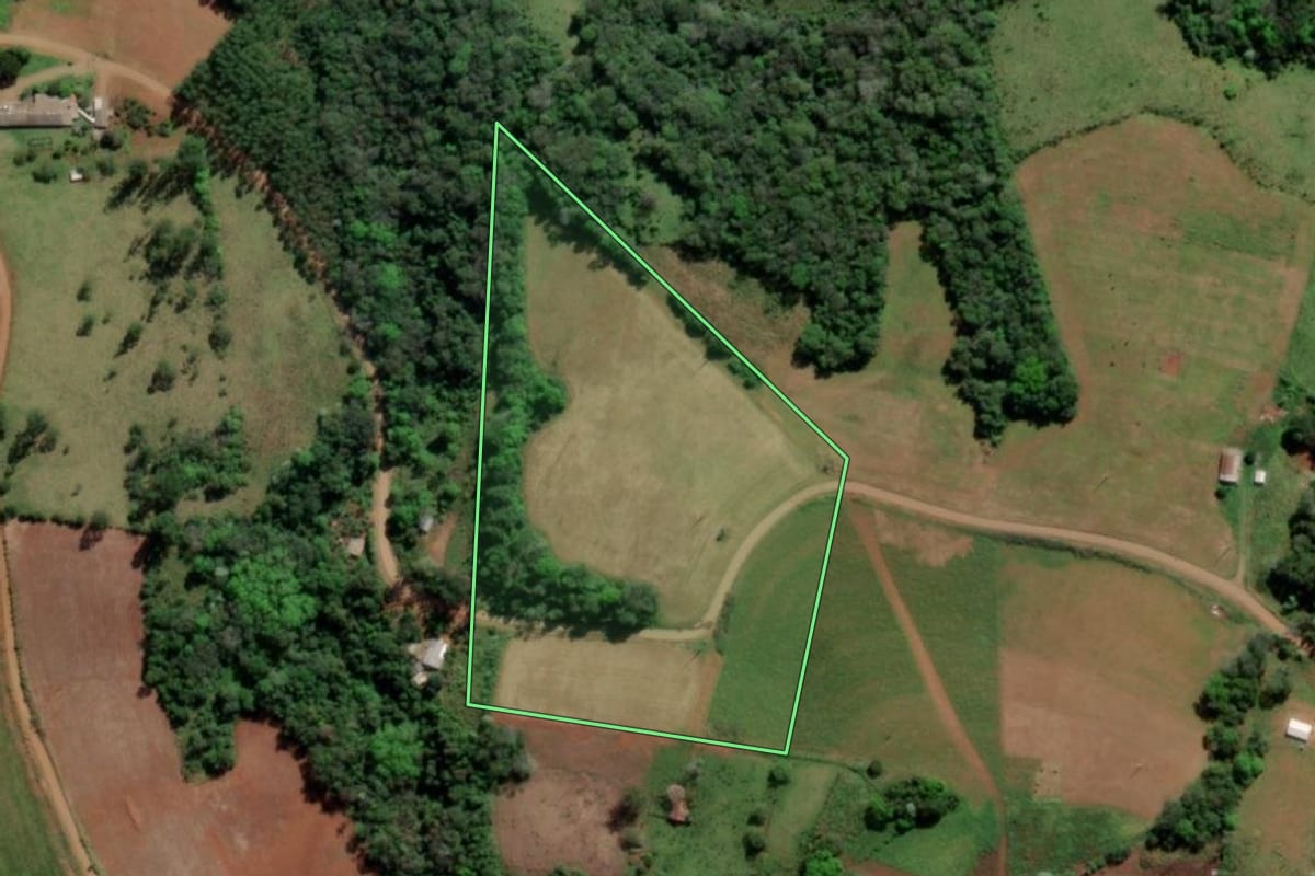 Imagem de satélite do imóvel rural em Esperança do Sul (RS), com o contorno declarado no CAR desenhado por cima.