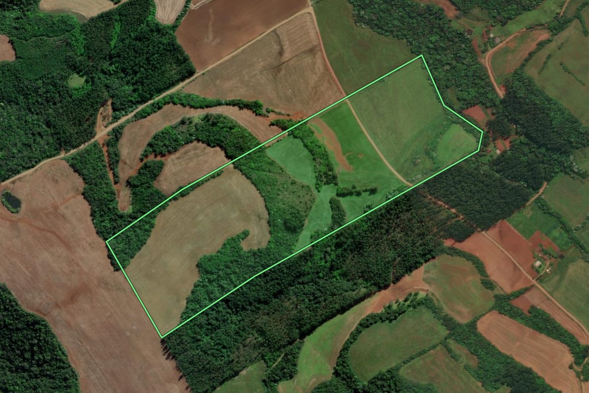 Imagem de satélite do imóvel rural em Esperança do Sul (RS), com o contorno declarado no CAR desenhado por cima.