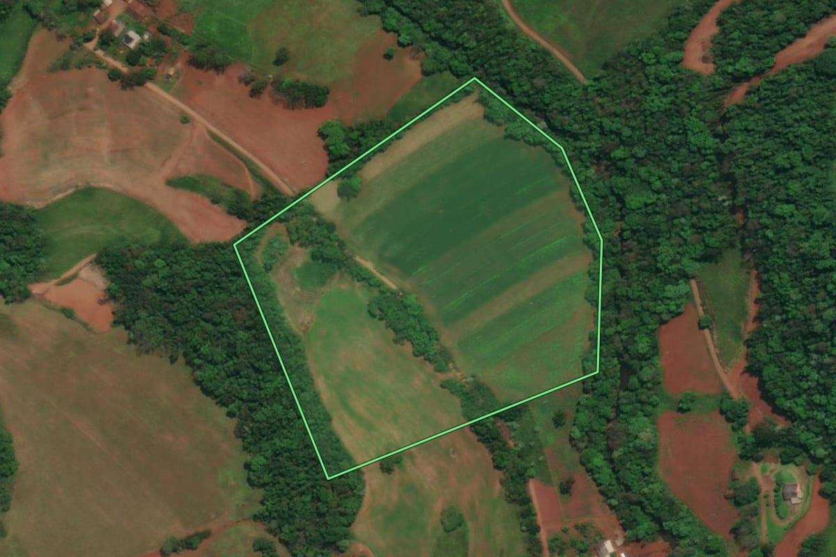 Imagem de satélite do imóvel rural em Esperança do Sul (RS), com o contorno declarado no CAR desenhado por cima.