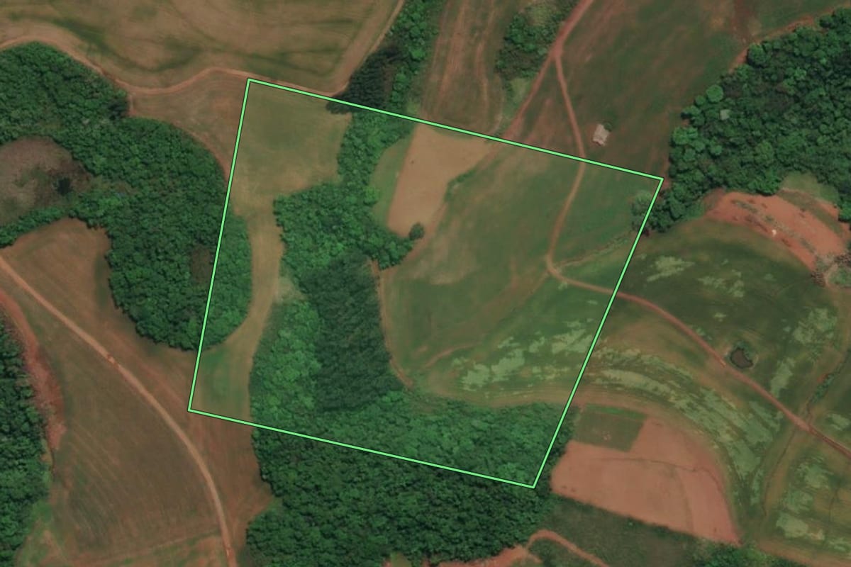 Imagem de satélite do imóvel rural em Esperança do Sul (RS), com o contorno declarado no CAR desenhado por cima.