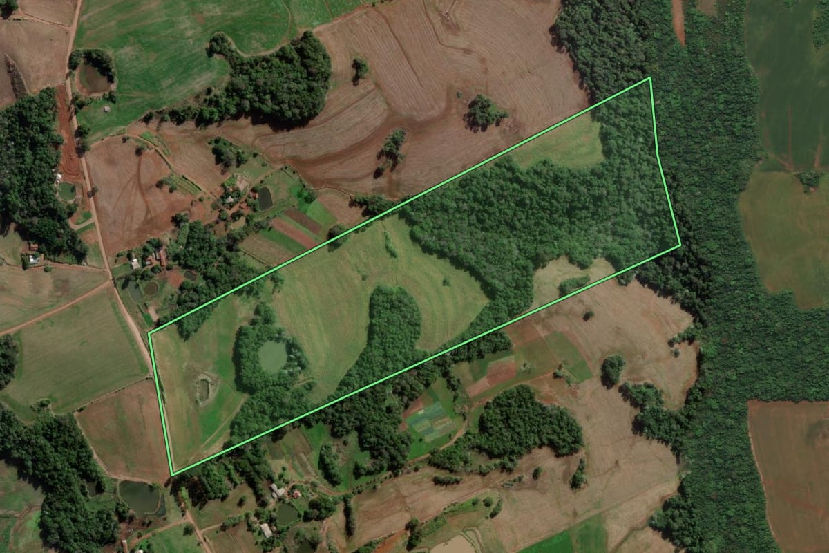 Imagem de satélite do imóvel rural em Esperança do Sul (RS), com o contorno declarado no CAR desenhado por cima.