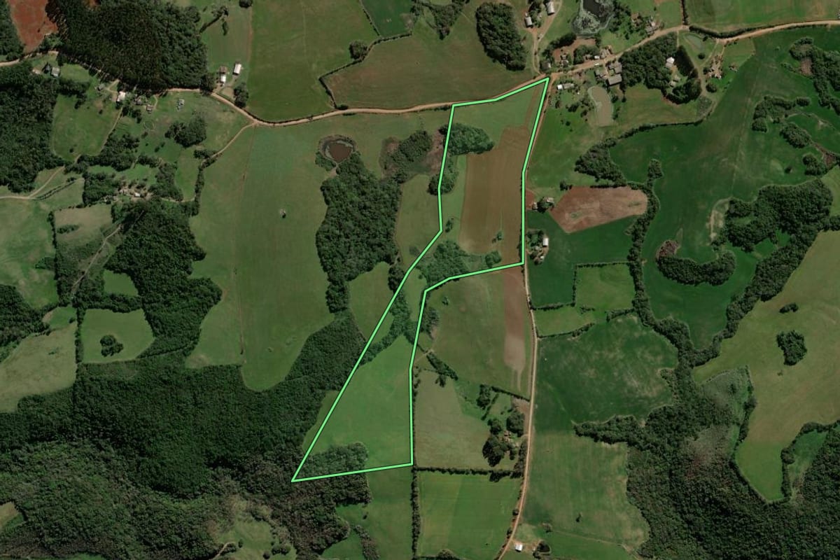 Imagem de satélite do imóvel rural em Espumoso (RS), com o contorno declarado no CAR desenhado por cima.