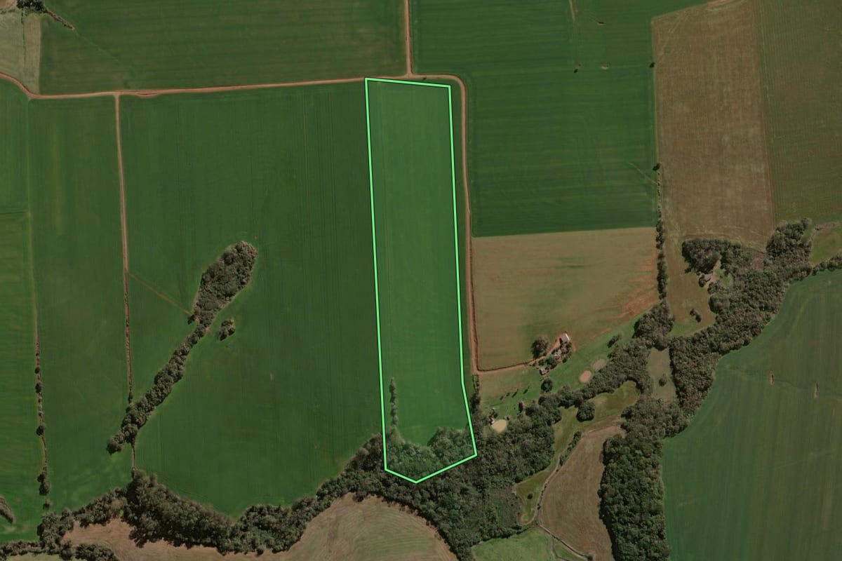 Imagem de satélite do imóvel rural em Espumoso (RS), com o contorno declarado no CAR desenhado por cima.
