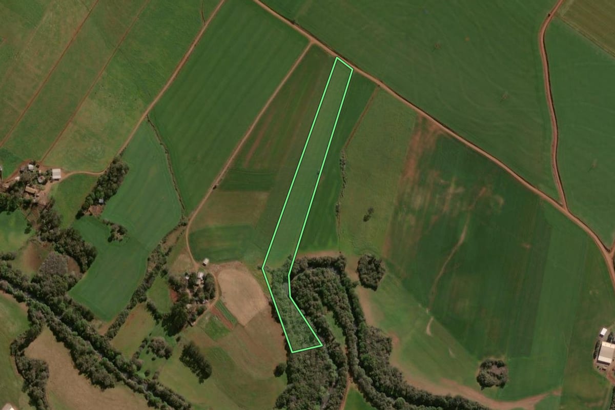 Imagem de satélite do imóvel rural em Espumoso (RS), com o contorno declarado no CAR desenhado por cima.